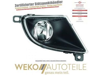 Nebelscheinwerfer rechts Diederichs 1224188 für BMW