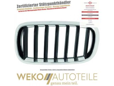 Kühlergitter links Diederichs 1293041 für BMW