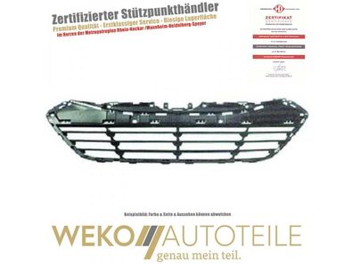 Kühlergitter Diederichs 6861042 für Hyundai
