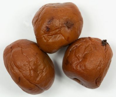 Food-United japanische Umeboshi Salz-Aprikosen-Pflaumen 500g Ume-Früchte