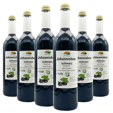 Bleichhof Schwarzer Johannisbeersaft - Direktsaft (6x 0,72l)