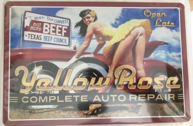 Yellow Rose Complete Auto Repair Pin Up Blechschild 30x20 cm krass