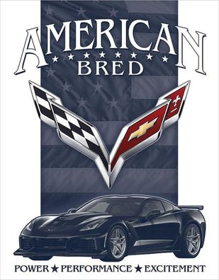 US Schild ca. 30 x 40 cm Chevrolet - Corvette - American Bred