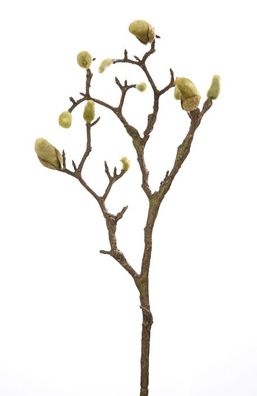 Fink Magnolienknospenzweig grün-dunkelbraun Höhe 101,5cm 183184