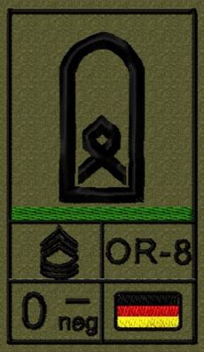 Bundeswehr Rangabzeichen Klett mit Grüner Litze, Blutgruppe, Hauptfeldwebel OR-8