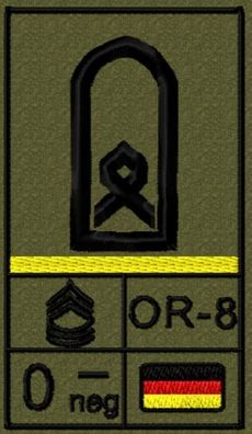 Bundeswehr Rangabzeichen Klett, Zitronengelbe Litze, Blutgruppe, Hauptfeldwebel OR-8