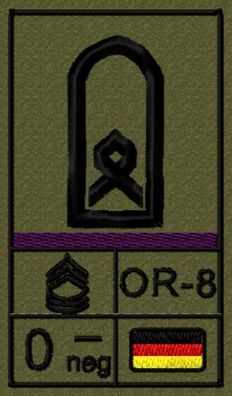 Bundeswehr Rangabzeichen Klett mit Bordeauxer Litze, Blutgruppe, Hauptfeldwebel OR-8