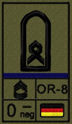 Bundeswehr Rangabzeichen Klett, Dunkelblauer Litze, Blutgruppe, Hauptfeldwebel OR-8