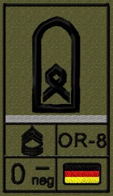 Bundeswehr Rangabzeichen Klett, Graue Litze, Blutgruppe, Hauptfeldwebel OR-8