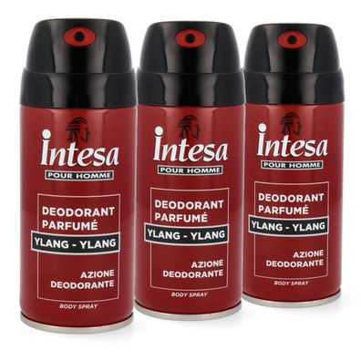 intesa pour Homme deo YLANG YLANG 3x 150ml deodorant für Herren