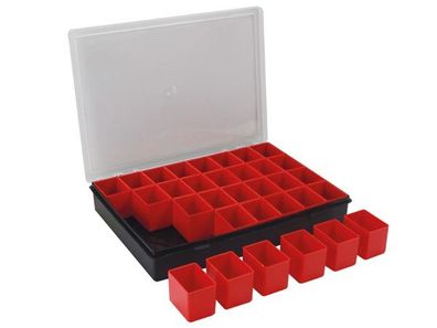 TAYG - Sortimentskasten - 330 x 247 x 54 mm - 32 Herausnehmbare FÄCHER