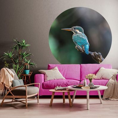 WallArt Fototapete The Kingfisher 142,5 cm