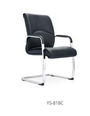 Swing Stuhl Freischwinger Besucherstuhl Konferenz Stühle Sessel Bürostuhl 818C