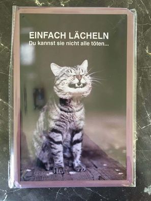 Blechschild 20x30 cm: Einfach lächeln, du kannst sie nicht alle töten !