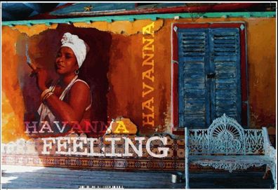 Viva Cuba - Viva Havana: Havana Feeling- Blechschild 20x30 Kuba Havanna