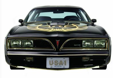 XXL US Stahl Schild ca. 76x45 cm Front Pontiac Trans AM 1977 Firebird - Kontur