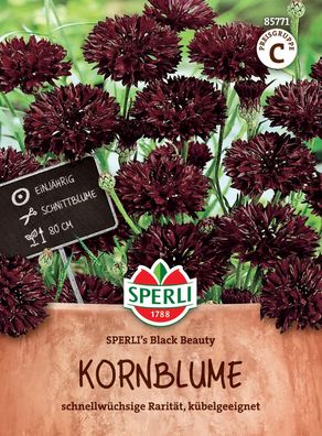 Sperli Kornblumen Black Beauty - Blumensamen