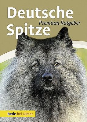 Deutsche Spitze, Annette Schmitt