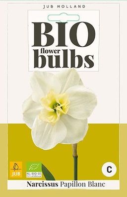 Narcissus Papillon Blanc Blumenzwiebeln 5 Zwiebeln Jub