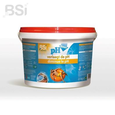 Ph down Pulver 2,5 kg Pool Pflege Bsi