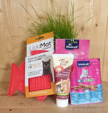 Geschenkpackung mit Katzensnacks Warentuin mix