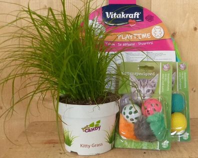 Geschenkpackung Katzenspielzeug mit Katzengras für Ihre Katze Warentuin mix