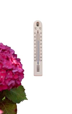 Wandthermometer Kunststoff beige 17x2,5x0,5cm Nature