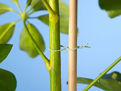 Bindedraht mit Anti Rutsch Beschichtung grün 50m Nature