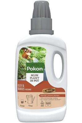 Bio Buxus & Ilex Fütterung 500ml Pokon