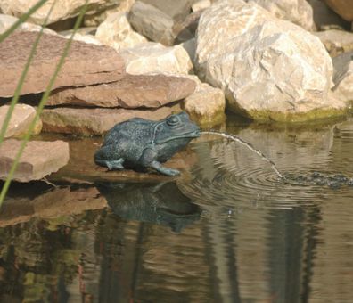 Wasserfigur Frosch klein Ubbink