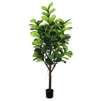 Ficus Lyrata 210 cm Kunstpflanze Buitengewoon de boet