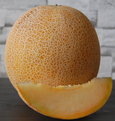 20 Samen Netz-Melone Melonen Zuckermelone Galia-Melone Honigmelone