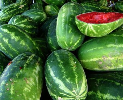 Charlston GRAY Wassermelone Frühe Melonen-Sorte zylinderförmige Melone 10 Samen