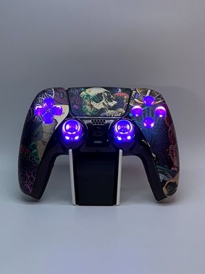 Playstation 5 Controller / Custom Umbau, PS5 Controller Design Hardy LED