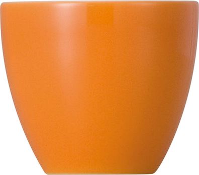 Thomas Vorteilsset 4 x Sunny Day Orange Eierbecher 10850-408505-15520 und Geschen