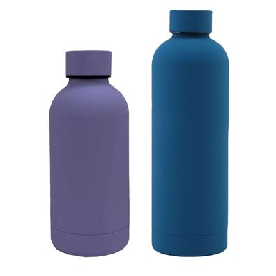 2er-Pack Edelstahl-Wasserflasche, Thermoskanne, Lila + Blau, 350 ml + 750 ml