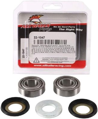 Steering Bearing Kit Aprilia Climber 280 94, Beta EVO 2T 125 09-18, EVO 2T 200 0