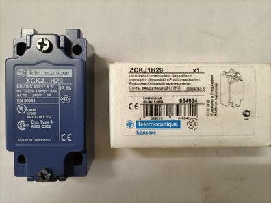 Schneider Electric Positionsschalter ZCKJ1H29 GB OES Unterteil EAN 3389110646641