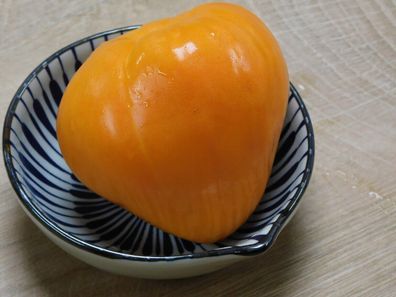 TOMATE VERNA ORANGE 5+ Samen - samenfeste Stabtomate P 582