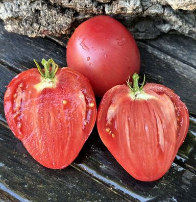 TOMATE FRESA aus Andalusien 5+ Samen - samenfeste Ochsenherztomate P 576