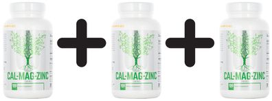 3 x Cal Mag Zinc - 100 tabs