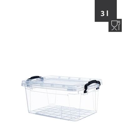 Livinja Box SOFIA mit Deckel und Griffen 3 L, 26 x 17 x 11,5cm, Transparent, Polyp