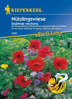 Nützlingswiese - Einjährige Mischung