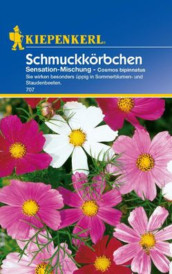 Schmuckkörbchen Sensations-Mischung