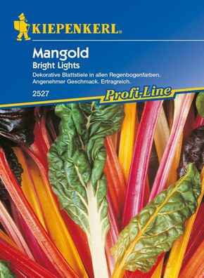 Mangold Bright Lights