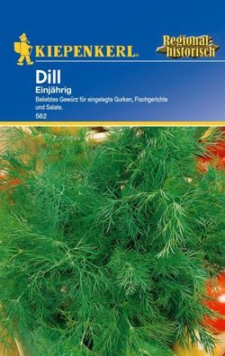 Dill einjährig