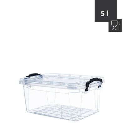 Box SOFIA 5 Liter 31x20x13,5cm Transparent mit schwarzen Griffen Polypropylen