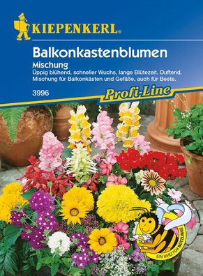 Balkonkastenblumen Mischung