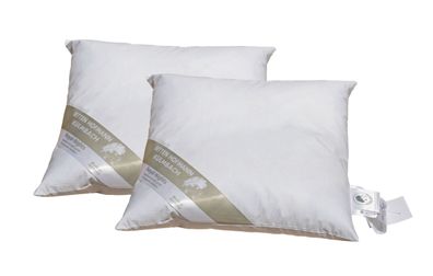 2 Stück Hofmanns Kopfkissen 45x45 Kleinkissen Kuschelkissen 30% Daunen 250 g