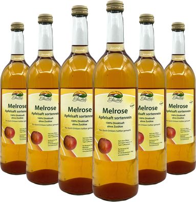 Bleichhof Apfelsaft Melrose — 100% Direktsaft, sortenrein, 6er Pack (6 x 0,72l)